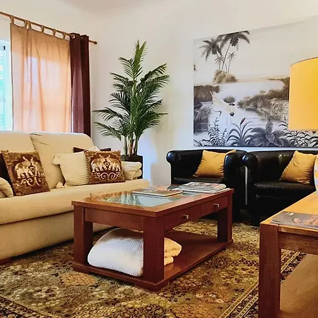 Apartment T3 - Frei Joao - Pleasant And Cozy