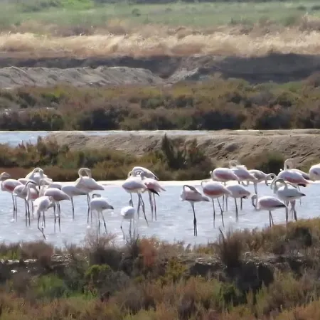 T3 - Frei Joao - Pleasant And Cozy Lejlighed