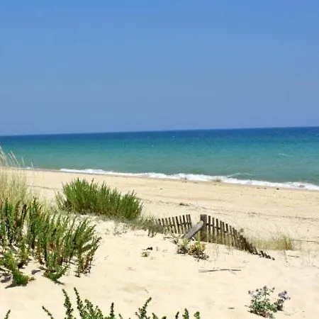 T3 - Frei Joao - Pleasant And Cozy Διαμέρισμα