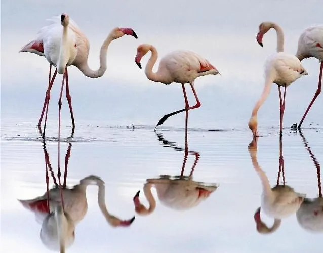 T3 - Frei Joao - Pleasant And Cozy Appartement *