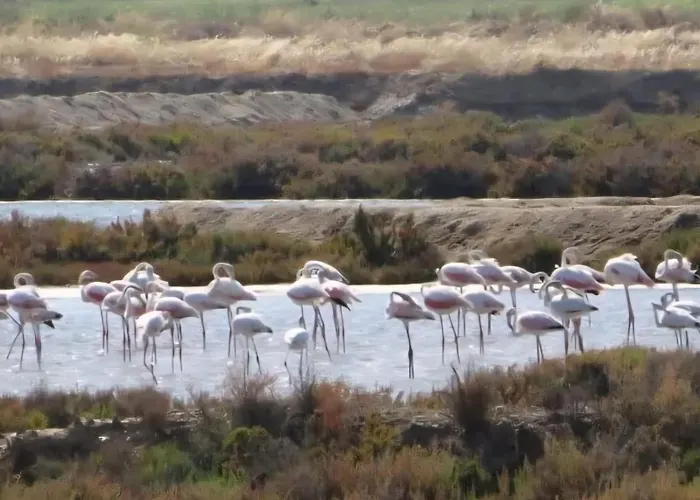 T3 - Frei Joao - Pleasant And Cozy Appartement